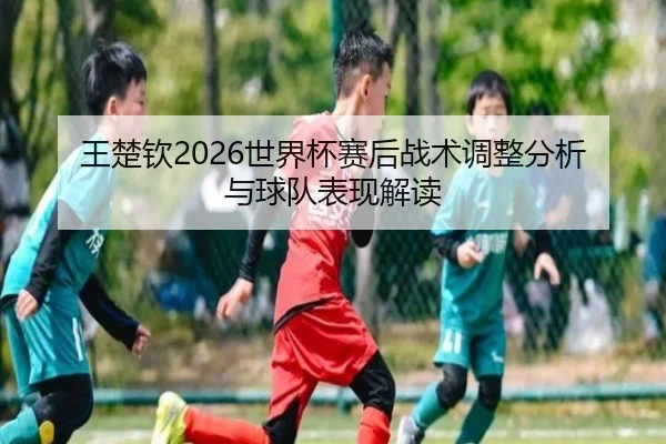王楚钦2026世界杯赛后战术调整分析与球队表现解读