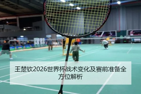 王楚钦2026世界杯战术变化及赛前准备全方位解析